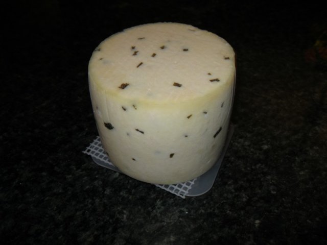 photo2.jpg